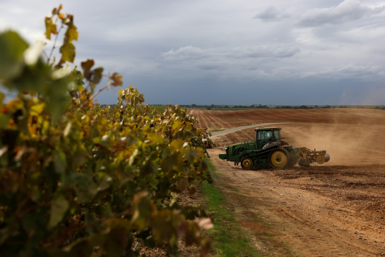 Un tracteur prépare les sols pour la culture d'amandiers à la place d'un ancien vignoble, le 13 octobre 2025 près de Lodi, en Californie