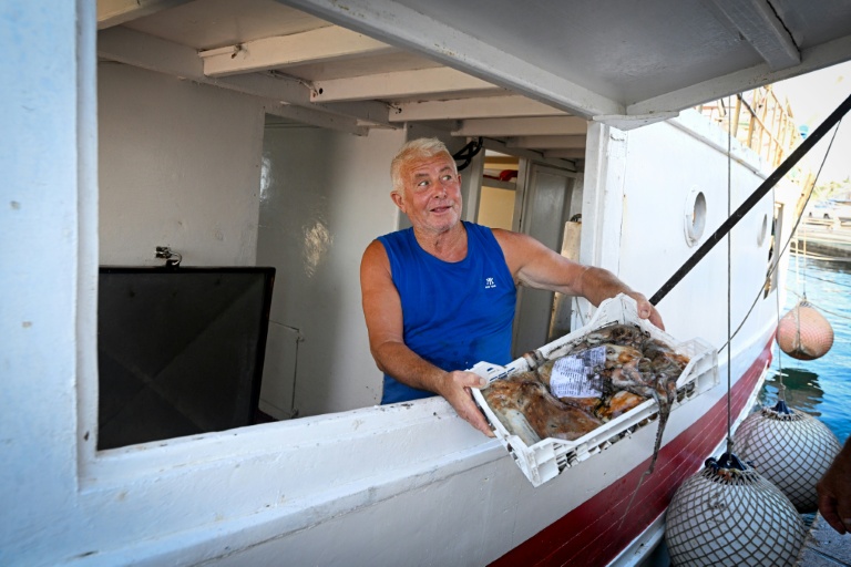 Un pêcheur décharge sa pêche au port de Lampedusa après une journée en mer, le 8 juillet 2026 en Italie