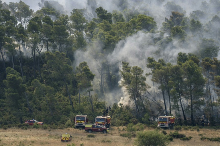 Des véhicules de pompiers près d'une zone forestière en feu à Saint-Laurent-de-la-Cabrerisse, dans l'Aude, le 7 août 2025