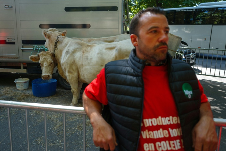 Militant de la Fédération nationale bovine, près de l'ambassade du Brésil à Paris le 29 juillet 2025.