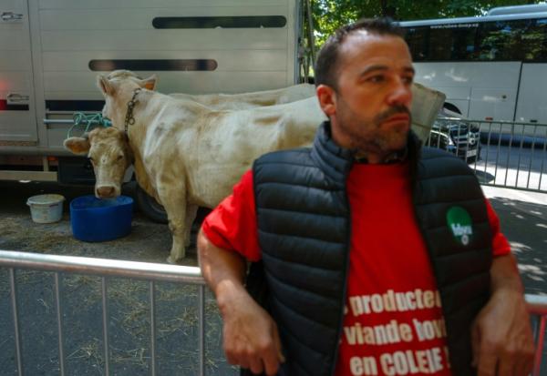 Militant de la Fédération nationale bovine, près de l'ambassade du Brésil à Paris le 29 juillet 2025.
