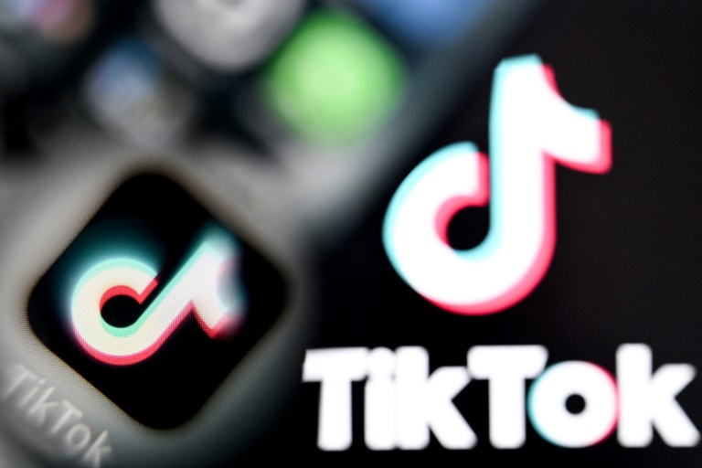 Le rapport de la commission d'enquête parlementaire sur les effets psychologiques de TikTok sur les mineurs a été adopté jeudi à l'unanimité