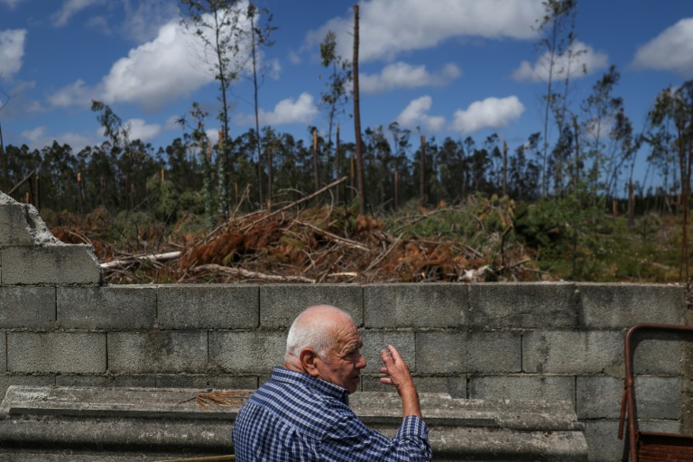 Manuel Calhanas montre l'arrière de sa maison située dans une forêt de pins et d'eucalyptus à Marinha Grande, au Portugal, le 7 mai 2026