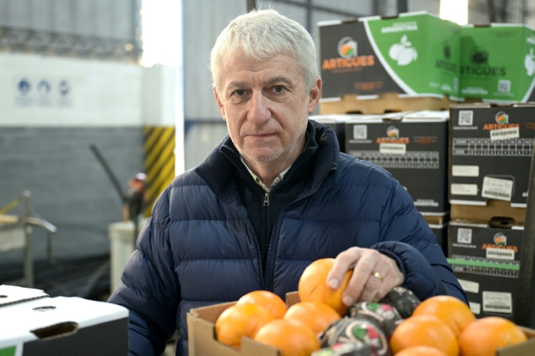Ruben Artigues, producteur de fruits et légumes de troisième génération à San Pedro qui continue de soutenir le président Javier Milei, province de Buenos Aires en Argentine le 30 juillet 2025.
