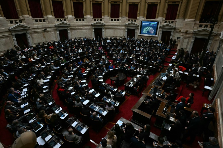 Des députés réunis au Congrès national pour discuter des vetos du président argentin Javier Milei à Buenos Aires, le 17 septembre 2025