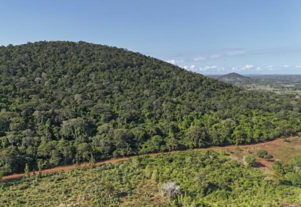 Vue aérienne d'une partie de la colline boisée de Mrima hill, à Lunga-Lunga, dans le sud-est du Kenya près de la frontière tanzanienne, le 26 septembre 2025