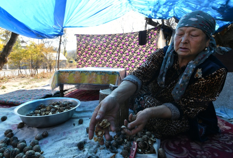Cassage de noix à Arslanbob, au Kirghizstan, le 22 octobre 2025