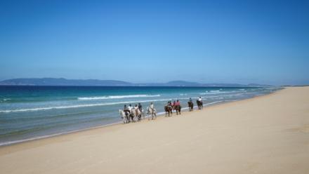 Des touristes se promènent à cheval sur la plage de Comporta, le 11 septembre 2025 au Portugal
