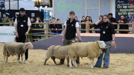 Le Salon de l'Agriculture à Paris le 21 février 2026