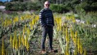 Laurent Maynadier, viticulteur à Fitou, dans l'Aude, qui a diversifié ses cultures, pose le 6 mai 2025 dans un champ d'aloe vera, plante peu gourmande en eau