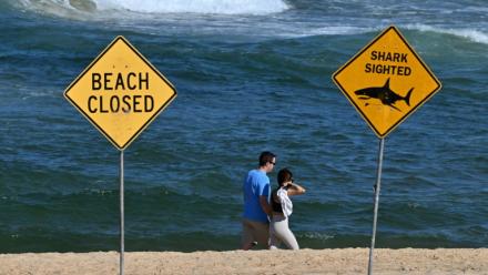 Des promeneurs sur le rivage alors que les plages du nord de Sydney restent fermées après une attaque présumée de requin à Long Reef Beach, le 6 septembre 2025 en Australie