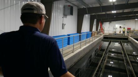 Lance Lin, directeur de la Rare Earth Elements Initiative de l'Université de Virginie-Occidentale, devant les bassins d'une installation de traitement de drainage minier acide, le 12 août 2026 à Mount Storm, en Virginie-Occidentale (Etats-Unis)