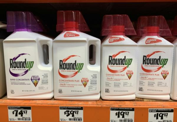 Des bouteilles d'herbicide Roundup dans un magasin en Californie, aux États-Unis, le 1er septembre 2019