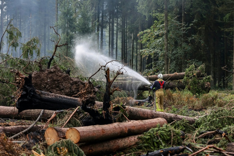 Un pompier arrose le sol pour l'humidifier lors des opérations visant à contenir un incendie de forêt dans la réserve naturelle des Hautes Fagnes, le 20 août 2026 en Belgique