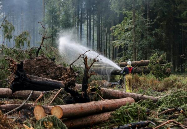 Un pompier arrose le sol pour l'humidifier lors des opérations visant à contenir un incendie de forêt dans la réserve naturelle des Hautes Fagnes, le 20 août 2026 en Belgique