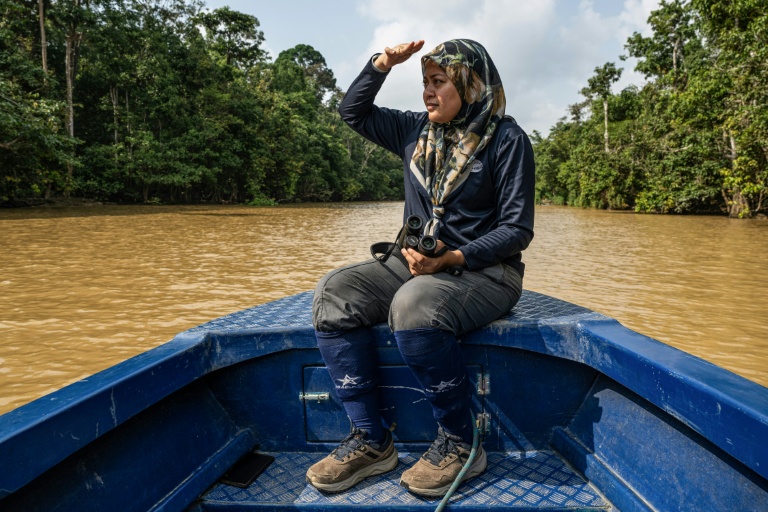 La scientifique Farina Othman traverse en bateau la jungle de Bornéo lors d'une opération de pose de collier GPS sur des éléphants, le 24 août 2026 à Sukau, dans l'Etat de Sabah, en Malaisie