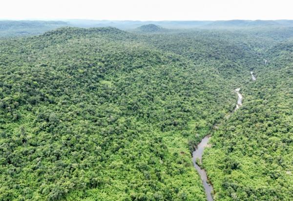 Vue aérienne du parc national des Cardamomes, dans la province de Koh Kong, le 11 juin 2026 au Cambodge