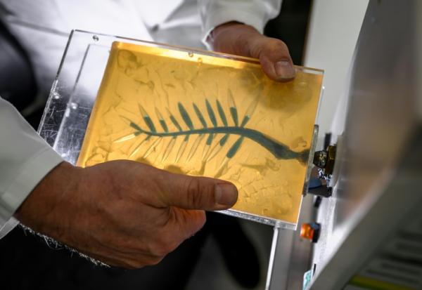 Un artisan injecte de la cire bleue dans un moule en caoutchouc lors d'une démonstration sur la fabrication de la Palme d'or de Cannes, le 21 avril 2026, dans un atelier de la maison Chopard à Meyrin, près de Genève 