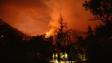 Des pompiers luttent contre les flammes à Calistoga, en Californie, le 21 août 2025