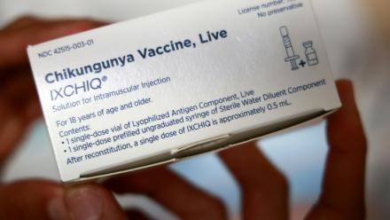 Les autorités sanitaires viennent de retirer "sans délai" les plus de 65 ans de la campagne de vaccination contre le chikungunya avec le vaccin Ixchiq à La Réunion et Mayotte 