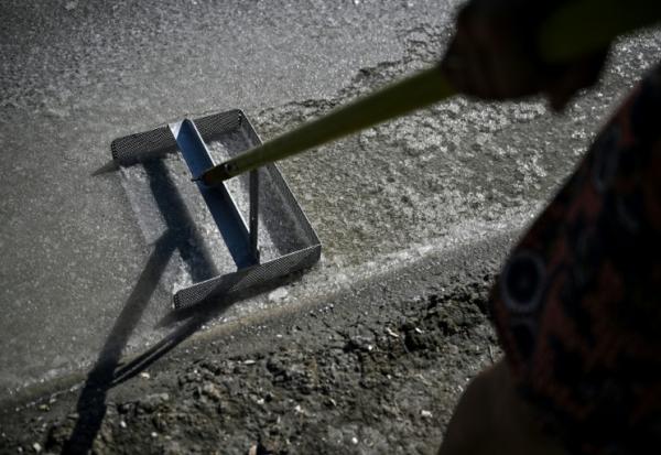 La saunière française Annabelle Poinot récolte la fleur de sel qui forme une fine croûte à la surface de l’eau de mer acheminée à travers les bassins d’un marais salant à Château-d’Oléron, sur l’île d’Oléron, dans le sud-ouest de la France, le 17 juin 2026