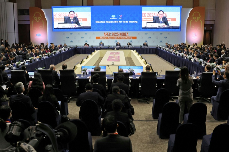 Le ministre sud-coréen du commerce Cheong In-kyo (à l'écran) fait un discours lors de l'ouverture de l'APEC à Jeju en Corée du sud le 15 mai 2025