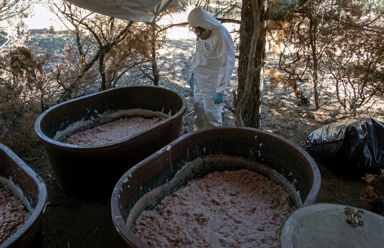 Un expert de l’armée mexicaine observe des conteneurs de pâte de méthamphétamine dans un laboratoire clandestin près de La Rumorosa, au Mexique, le 28 août 2018 