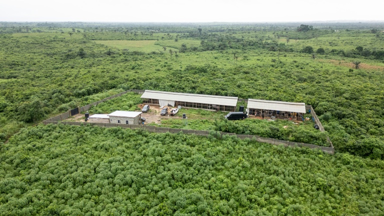 Un laboratoire clandestin de méthamphétamine abandonné, lors d’une opération de l’Agence nationale nigériane de lutte contre les stupéfiants (NDLEA) à Iroto, au Nigeria, le 29 juillet 2026 
