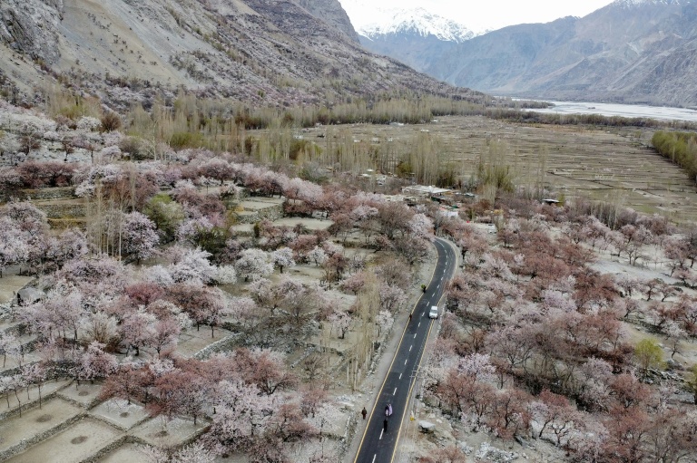 Une route serpente au milieu d'abricotiers en fleur dans les contreforts montagneux à Ghanche, dans la région du Gilgit-Baltistant, le 30 mars 2026 au Pakistan