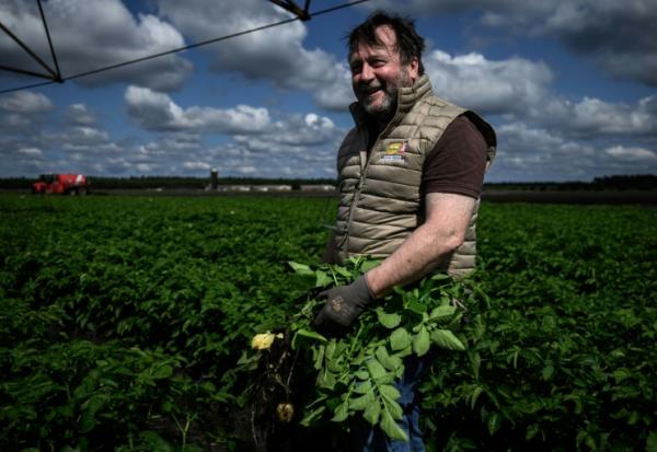 L'agriculteur Samuel Allix dans son champ de pommes de terre le 22 mai 2025 à Saint-Jean-d'Illac, en Gironde