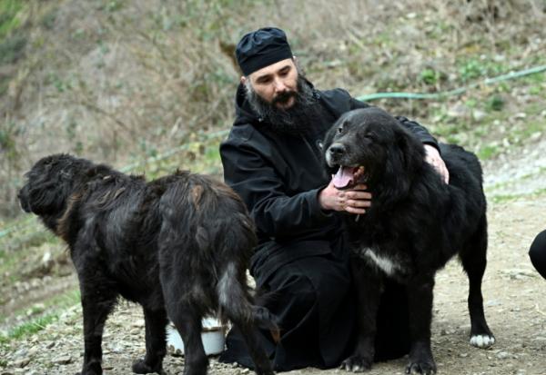Le père Porfirij joue avec des chiens Karaman au monastère Bigorski de Mavrovo i Rostuse, le 19 mars 2026 en Macédoine