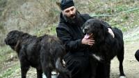 Le père Porfirij joue avec des chiens Karaman au monastère Bigorski de Mavrovo i Rostuse, le 19 mars 2026 en Macédoine