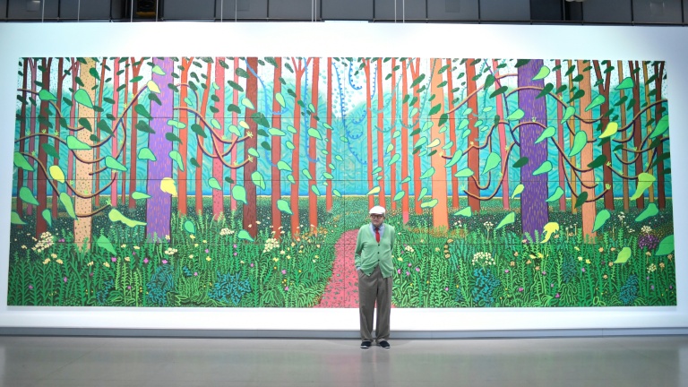 David Hockney au Centre Pompidou à Paris le 26 septembre 2017