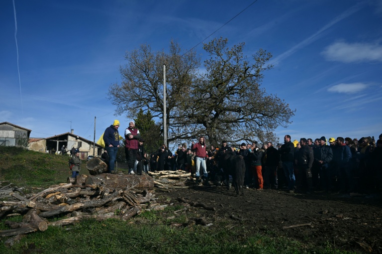 Le président de la Coordination rurale (CR) de l'Ariège, Sébastien Durand (g) et la figure régionale du mouvement de protestation agricole, Jérôme Bayle (2e g), participent à une manifestation d'agriculteurs pour empêcher l'abattage d'un troupeau de 200 vaches, suite à la détection de la dermatose nodulaire contagieuse (DNC) aux Bordes-sur-Arize, le 11 décembre 2025 en Ariège