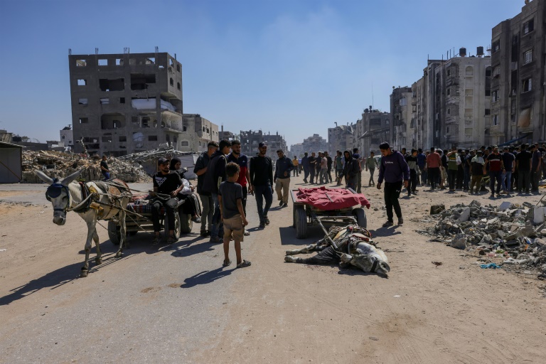 Des Palestiniens se tiennent autour d’un âne tué lors d’une frappe de drone israélien à Jabalia, dans le nord de la bande de Gaza, le 23 mai 2025