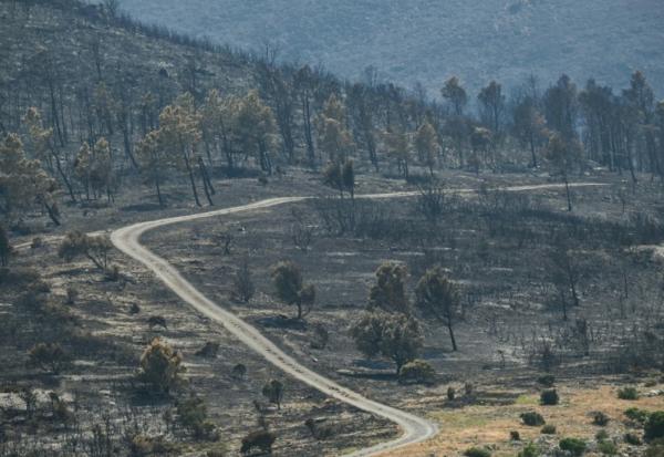 Une route au milieu d'un paysage ravagé par les flammes lors d'un incendie dans l'Aude, à Coustouge, le 8 août 2025