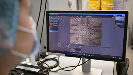 Sur cette photo prise le 5 mai 2026, la chercheuse Daria Kornienko observe au microscope des neurones cultivés dans le laboratoire de l'entreprise australienne Cortical Labs à Melbourne 

