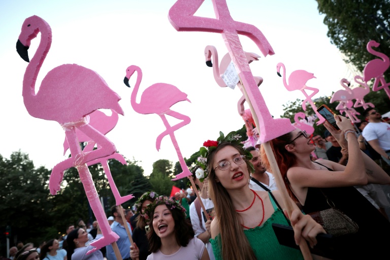 Manifestation contre la construction d'un complexe touristique de luxe près d'une zone naturelle protégée, le 11 juillet 2026 à Tirana, en Albanie