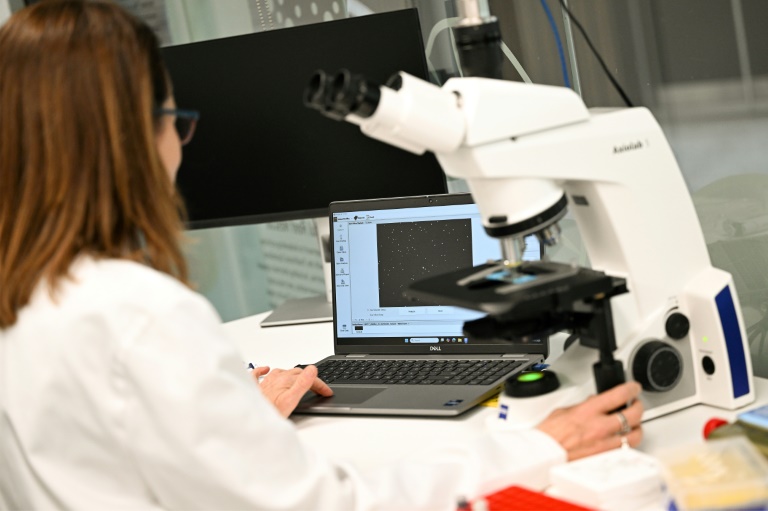 Justine O'Brien, responsable des sciences de la conservation à la Taronga Conservation Society Australia examine des échantillons de gamètes de corail stockés dans un réservoir cryogénique rempli d'azote liquide dans un laboratoire de Sydney, le 29 mai 2025 en Australie