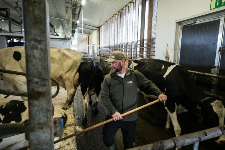Joni Pitkanen, un agriculuteur finlandais, photographié dans son exploitation proche du site où Google prévoit de construire un nouveau centre de données, le 29 septembre 2026 à Muhos, dans le nord de la Finlande 