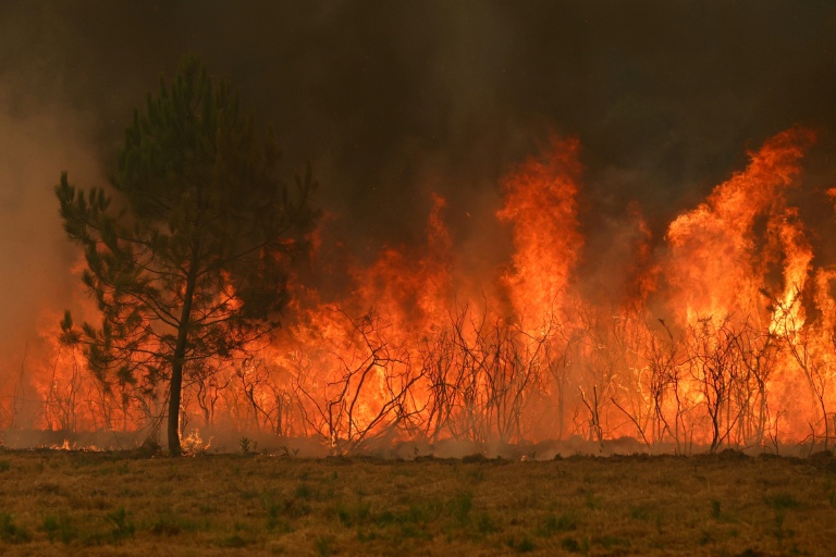 Incendie de forêt à Marcheprime, à l'ouest de Bordeaux le 26 juillet 2026 