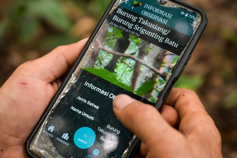 Octavius affiche sur son téléphone portable une photo d’un oiseau qu’il a capturé à l’aide d’un téléobjectif fixé à son téléphone, dans une forêt du village de Labian, à Kapuas Hulu, à Bornéo, le 2 septembre 2026