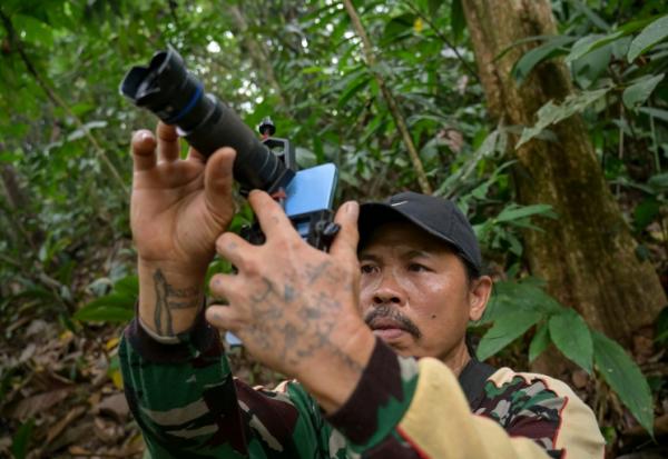 Octavius, villageois indonésien et ancien braconnier, utilise un téléphone portable équipé d’un téléobjectif pour prendre des photos d’animaux sauvages dans une forêt près du village de Labian, à Kapuas Hulu, à Bornéo, le 2 septembre 2026