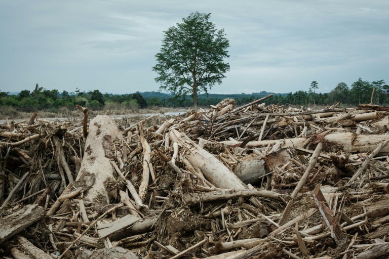 Les inondations et les glissements de terrain, aggravés par la déforestation, ont causé la mort de plus de 1.000 personnes à Sumatra l'année dernière.