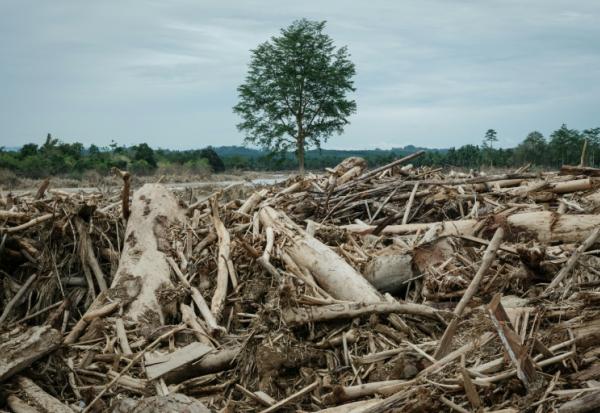 Les inondations et les glissements de terrain, aggravés par la déforestation, ont causé la mort de plus de 1.000 personnes à Sumatra l'année dernière.