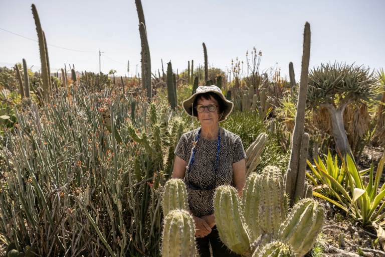 Sheila Gerber, qui gère un jardin botanique et une plantation de cactus avec son mari Yaakov dans le village de Talmei Yossef, le 21 mai 2025 dans le sud d'Israël