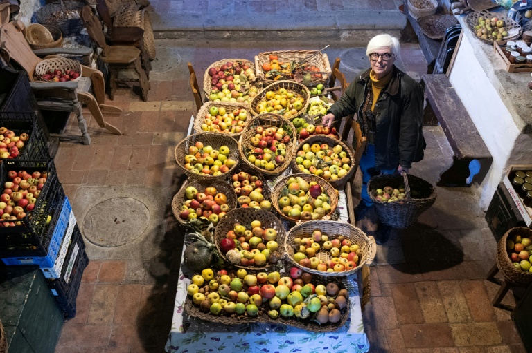L'agronome italienne Isabella Dalla Ragione pose dans une petite église où elle entrepose des fruits cultivés par sa fondation à but non lucratif Archeologia Arboreas, à San Lorenzo di Lerchi, un hameau de Città di Castello, en Italie, le 7 novembre 2025