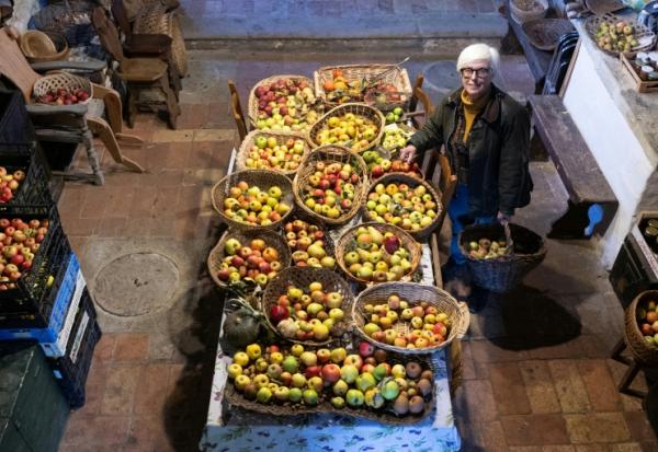 L'agronome italienne Isabella Dalla Ragione pose dans une petite église où elle entrepose des fruits cultivés par sa fondation à but non lucratif Archeologia Arboreas, à San Lorenzo di Lerchi, un hameau de Città di Castello, en Italie, le 7 novembre 2025