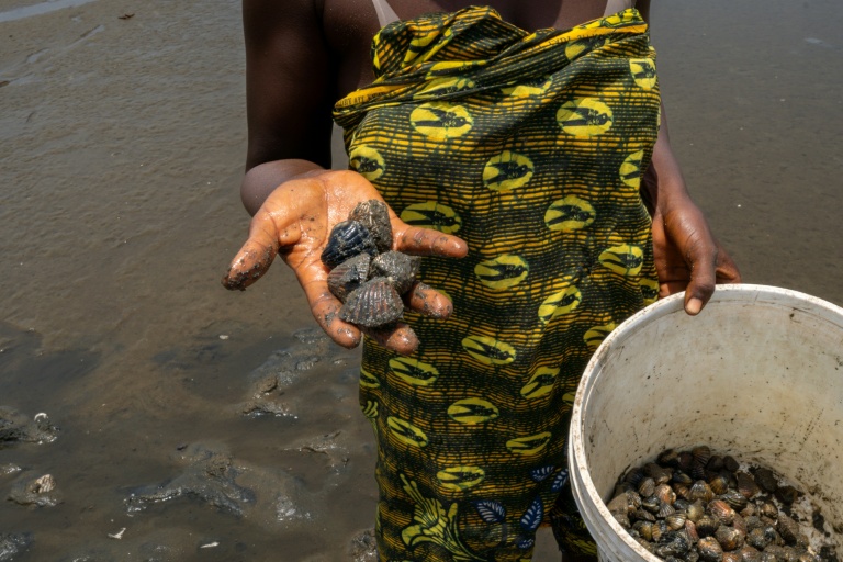 Une ostréicultrice montre sa récolte à Aberdeen Creek, le 15 avril 2026, en Sierra Leone