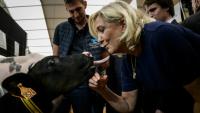 Marine Le Pen, candidate du RN à la présidentielle, câline un veau lors de sa visite au Sommet de l'élevage à Cournon-d'Auvergne, le 7 octobre 2026 dans le Puy-de-Dôme